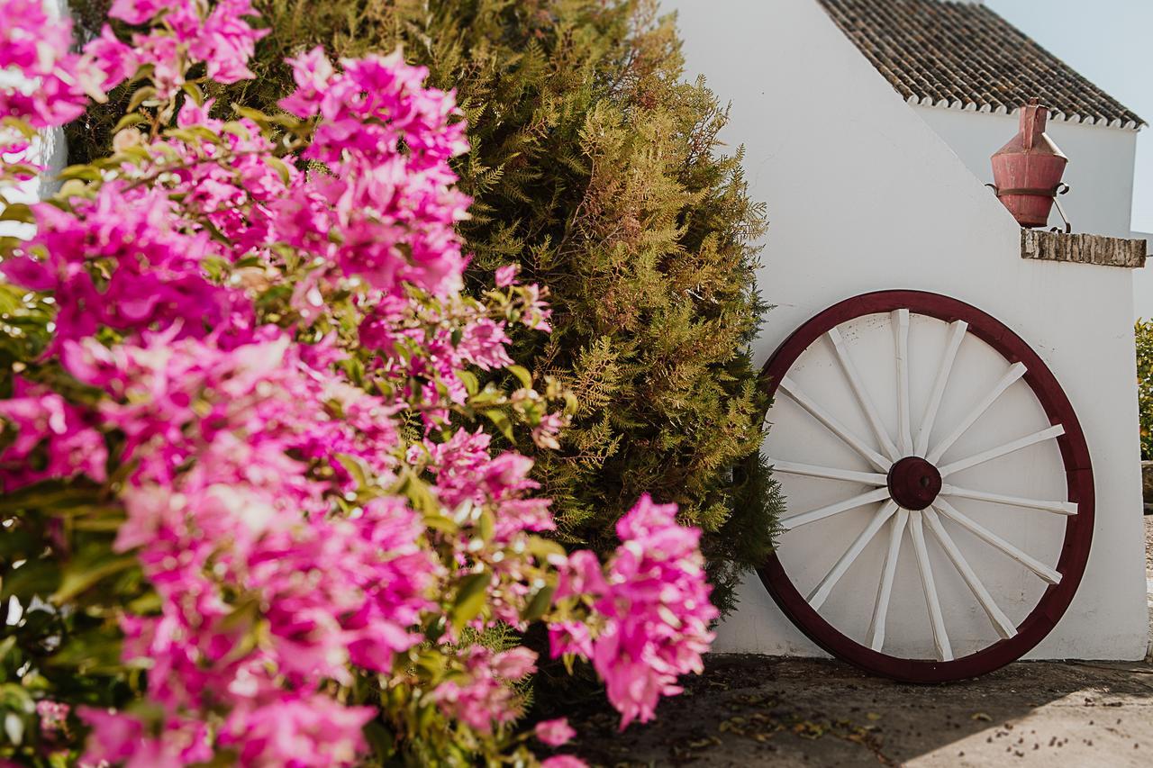Cortijo Santa Clara Villa Carmona  Buitenkant foto
