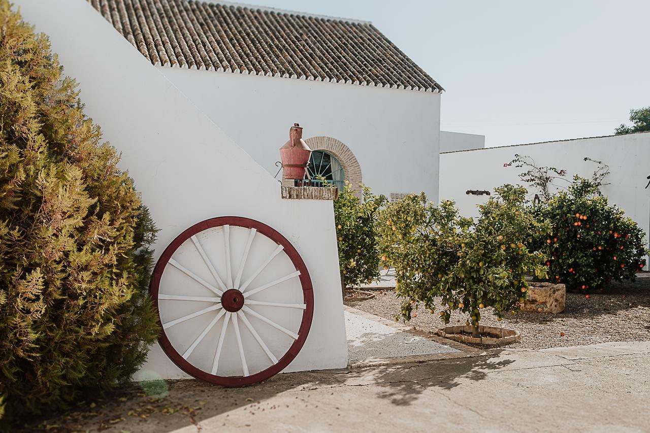 Cortijo Santa Clara Villa Carmona  Buitenkant foto